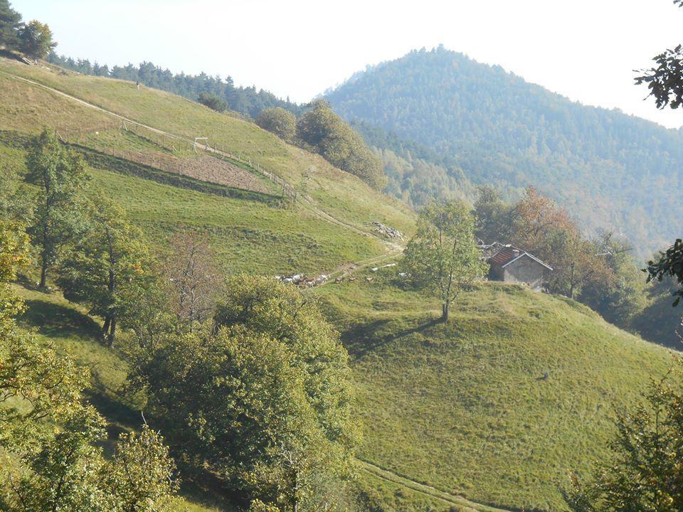 Agriturismo Fiorendo Pinerolo Exteriér fotografie