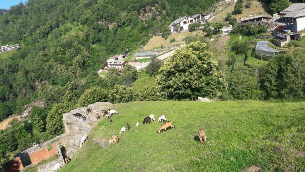 Agriturismo Fiorendo Pinerolo Exteriér fotografie